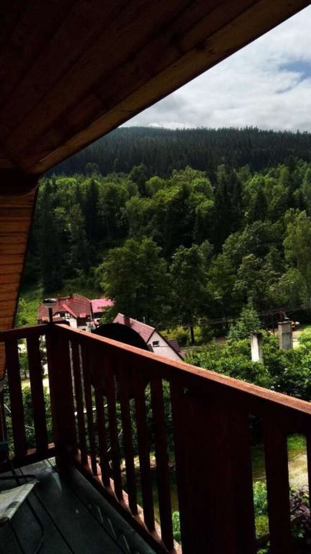Апартаменты Apartament w Kletnie Строне-Слёнске-43